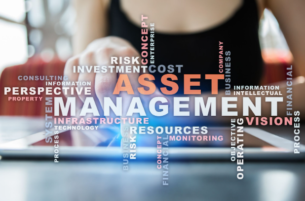 offshore asset management Offshore Asset Management in Anguilla: Digital concepts, risk, and wealth resources.